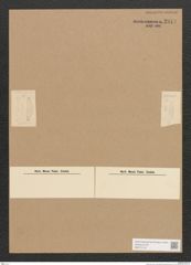 Diatomeae indet. Zeichnungen Sammlung Grunow Nr. 2814 (NHMW-BOT-W0370116)